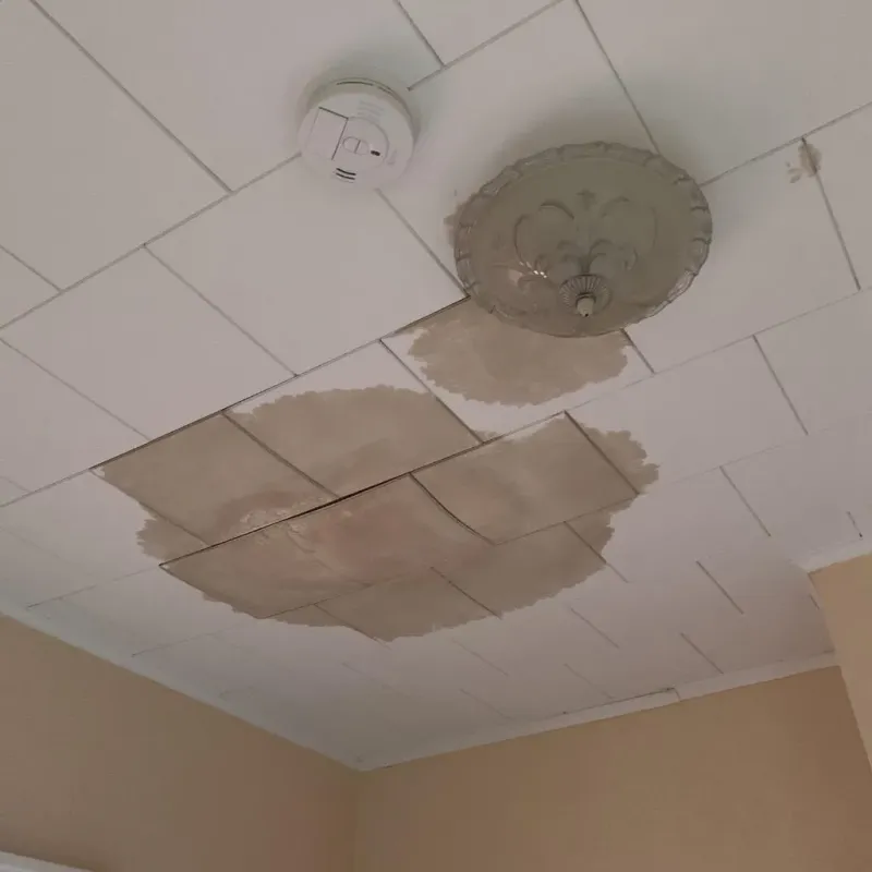 Ceiling Water Damage Repair in Peshtigo, WI