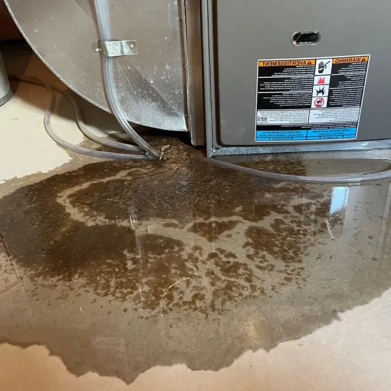 Pipe Burst and Leak Restoration in Peshtigo, WI